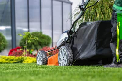 Lawn Maintenance