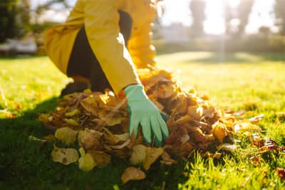 Yard Cleanups
